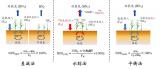 <p>沈阳生态所在作物氮利用效率量化方法方面取得进展</p>
