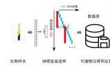 我所提出基于纳升电喷雾质谱直接进样的代谢组学分析新方法